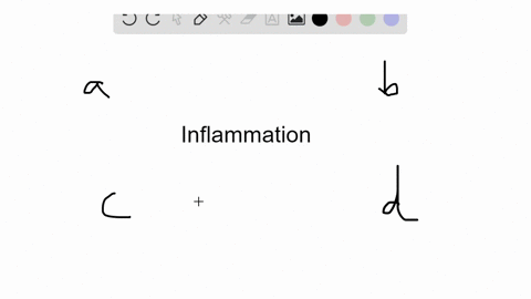 which-of-the-following-is-not-a-goal-of-the-inflammatory-reaction-a-bring-more-oxygen-to-damaged-t-3
