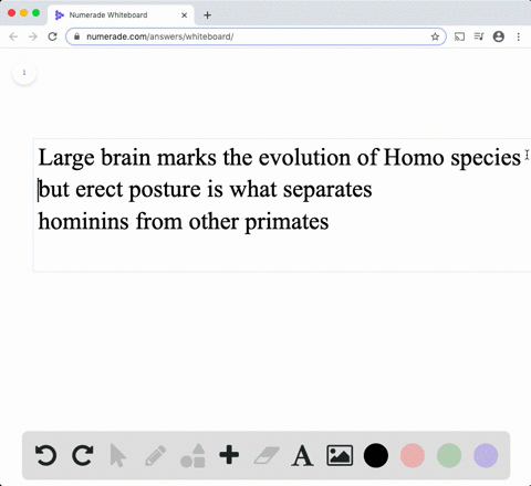 fossils-suggest-that-the-first-major-trait-distinguishing-hominins-from-other-primates-was-a-a-lar-2
