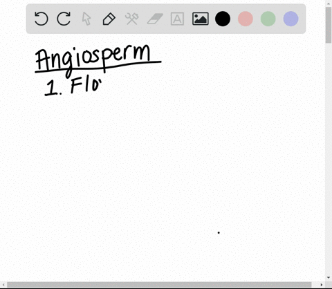 which-of-the-following-is-not-an-example-of-a-group-of-angiosperms-a-cacti-b-cherry-trees-c-pine-tre