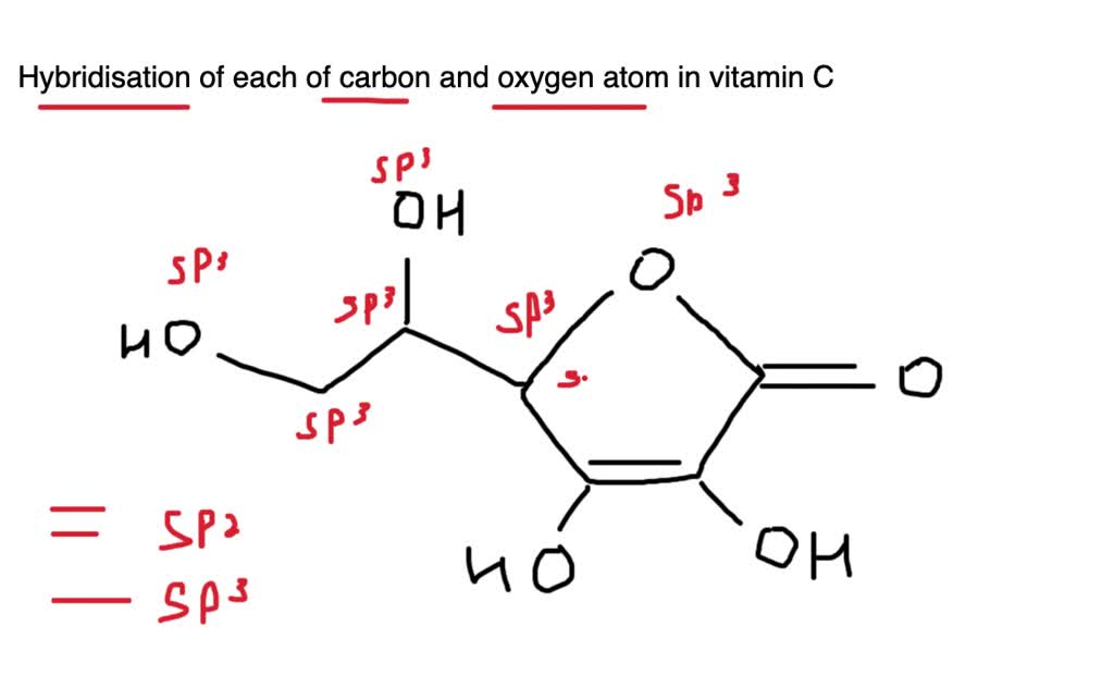 Hybridization Periodic Table