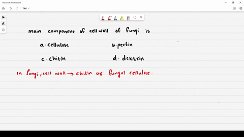Chapter 2 Biological Classification Video Solutions Ncert At You Fingerstips Biology Numerade