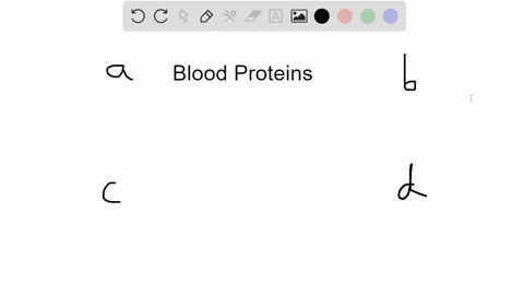 all-of-the-following-proteins-are-associated-with-blood-which-of-these-is-found-specifically-inside-