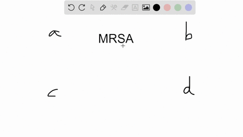 mrsa-is-particularly-challenging-to-medical-professionals-because-_____-a-it-is-derived-from-a-commo