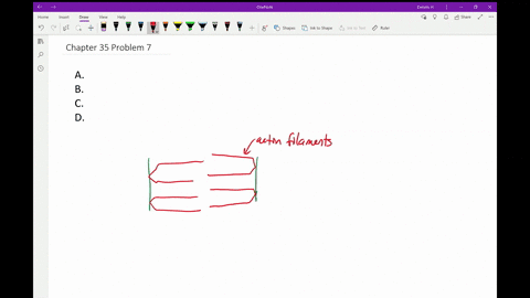 the-____________-is-the-basic-unit-of-contraction-a-osteoblast-c-twitch-b-sarcomere-d-myosin-filamen