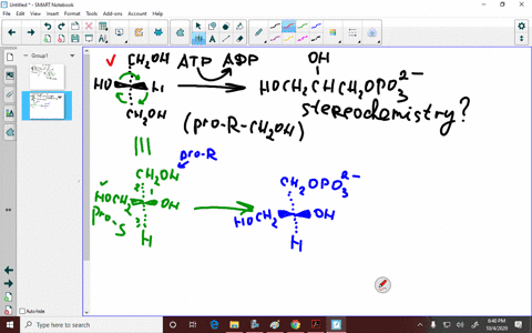 the-first-step-in-the-metabolism-of-glycerol-formed-by-digestion-of-fats-is-phosphorylation-of-the-p