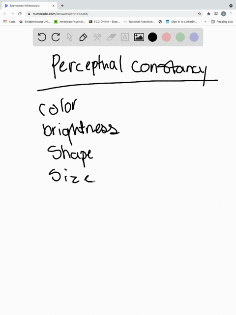 consider-the-following-question-you-have-suddenly-lost-all-perceptual-constancies-what-specific-prob