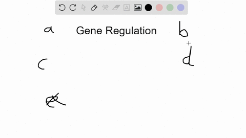 which-of-the-following-is-characteristic-of-genes-and-gene-regulation-in-both-bacteria-and-eukaryo-4