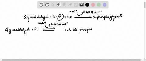 glycolysis-shortcut-suppose-you-discovered-a-mutant-yeast-whose-glycolytic-pathway-was-shorter-bec-2