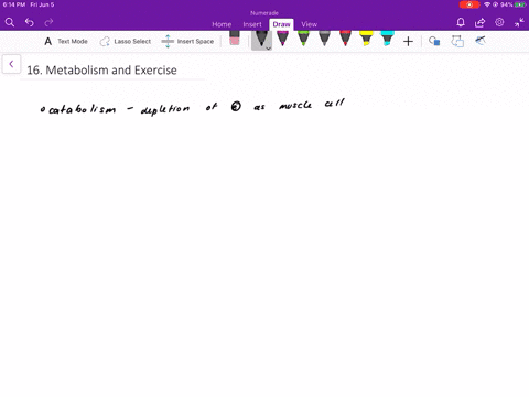 does-physical-exercise-involve-anabolic-andor-catabolic-processes-give-evidence-for-your-answer