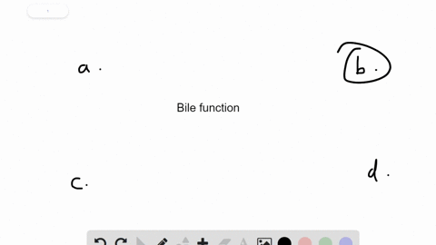bile-has-roles-in-________-digestion-and-absorption-a-carbohydrate-b-fat-c-protein-d-amino-acid