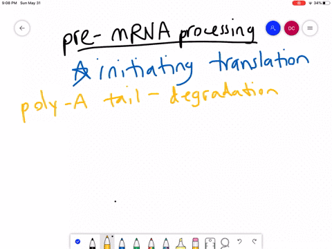 which-pre-mrna-processing-step-is-important-for-initiating-translation-a-poly-a-tail-b-rna-editing-2