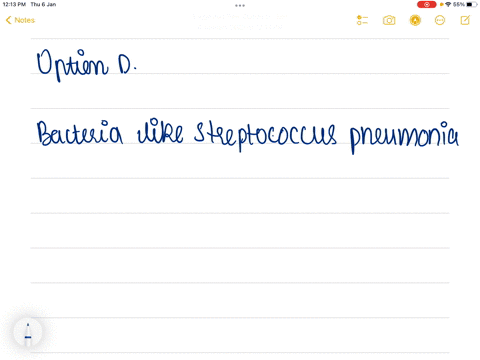 pneumonia-is-caused-by-a-streptococcus-pneumoniae-b-pneumococcal-pneumonia-c-haemophilus-influenzae-