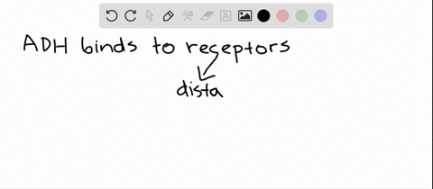 adh-binds-to-receptors-on-distal-tubules-and-collecting-ducts-making-them-_______-permeable-to-_____