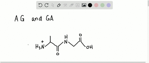 reflect-and-apply-if-the-amino-acids-alanine-and-glycine-react-to-form-a-peptide-bond-is-there-more-