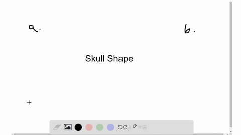 the-large-brain-and-thickened-browridges-illustrated-by-the-skull-above-are-characteristic-of-which