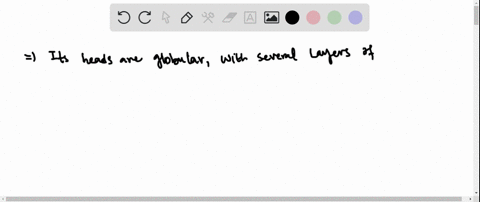 is-myosin-a-fibrous-protein-or-a-globular-protein-explain-2