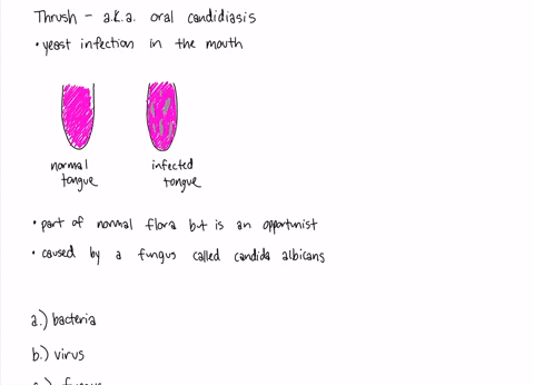 what-type-of-organism-causes-thrush-a-a-bacterium-b-a-virus-c-a-fungus-d-a-protozoan