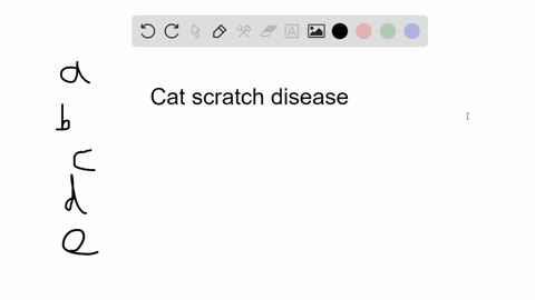 which-of-these-statements-about-cat-scratch-disease-is-false-a-it-is-a-common-cause-of-chronic-lymph