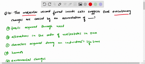 the-molecular-record-found-inside-cells-suggests-that-evolutionary-changes-are-caused-by-an-accumula