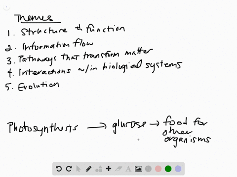 most-ecosystems-depend-on-the-process-of-photosynthesis-to-convert-the-energy-in-sunlight-into-high-