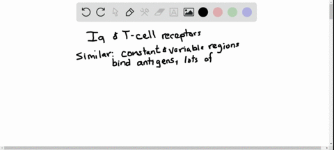 contrast-immunoglobulins-and-t-cell-receptors-with-respect-to-their-structures-and-functions