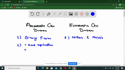 how-is-cell-division-similar-and-different-in-prokaryotic-cells-and-eukaryotic-cells