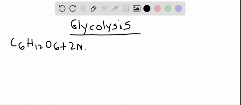 which-of-the-following-is-not-a-product-of-glycolysis-a-atp-mathbfc-quad-mathbfc-o_2-b-pyruvate-d-qu