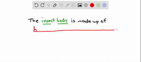 the-body-plan-of-insects-is-composed-of-which-of-the-three-following-regions-a-head-abdomen-and-trac