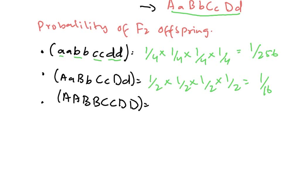 The genotype of F1 individuals in a tetrahybrid cross is AaBbCcDd ...