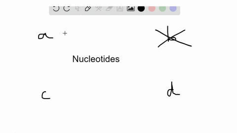 this-nucleic-acid-is-typically-involved-in-cnergy-reactions-in-a-cell-a-rna-b-dna-c-a-t-p-d-all-of-t