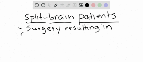 which-conclusion-was-supported-by-experiments-on-splitbrain-patients-a-language-abilities-are-loca-2