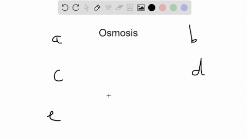 red-blood-cells-placed-in-distilled-water-will-a-swell-as-water-moves-into-the-cells-by-osmosis-b-sh