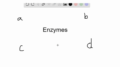 enzymes-accelerate-a-chemical-reaction-by-a-reducing-the-amount-of-substrate-produced-b-lowering-t-2