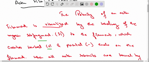 actin-filaments-have-a-defined-polarity-what-is-filament-polarity-how-is-it-generated-at-the-subunit