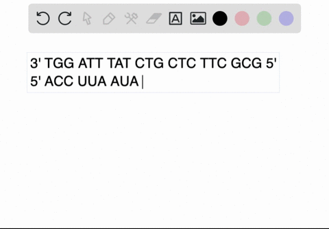 the-following-is-a-segment-of-the-template-strand-of-human-brca1-gene-3prime-text-tgg-aat-tat-ctg-ct