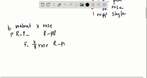 the-genotype-r-r-p-p-gives-fowl-a-single-comb-r-p-gives-a-walnut-comb-r-r-p-gives-a-pea-comb-and-r-p