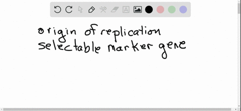 the-cloning-vectors-in-use-today-contain-an-origin-of-replication-a-selectable-marker-gene-usually-a