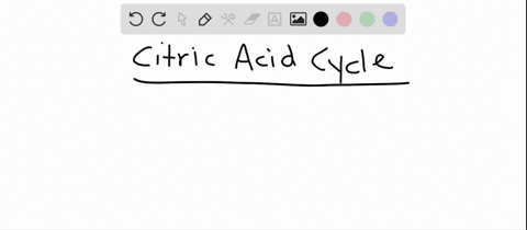 the-citric-acid-cycle-a-has-no-connection-with-the-respiratory-chain-b-is-the-same-thing-as-fermenta