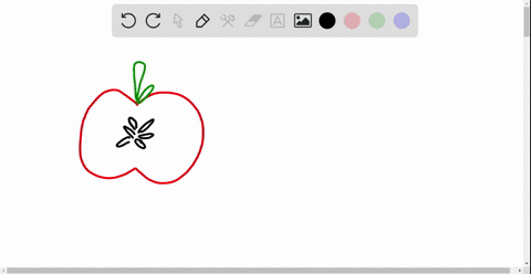 a-fruit-is-usually-a-a-mature-ovary-b-a-thickened-style-c-an-enlarged-ovule-d-a-mature-female-game-2