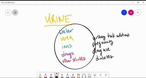 what-is-normally-found-in-urine-what-are-three-conditions-that-can-be-tested-for-with-a-urinalysis