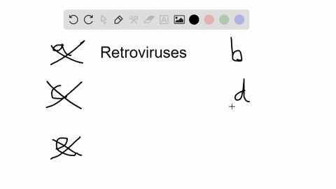 which-is-not-correct-about-retroviruses-they-are-rna-viruses-b-they-are-believed-to-be-the-source-of