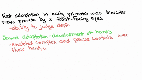 outline-the-evolution-of-humans-from-early-primates-include-in-your-discussion-such-features-as-bino
