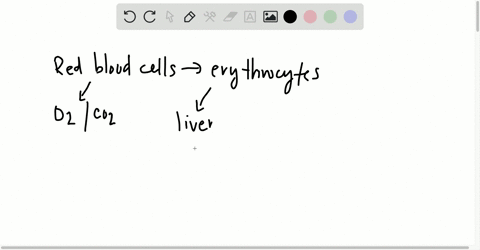 during-weeks-9-12-of-fetal-development-____________-a-bone-marrow-begins-to-assume-erythrocyte-produ