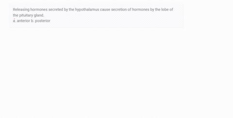 releasing-hormones-secreted-by-the-hypothalamus-cause-secretion-of-hormones-by-the-lobe-of-the-pitui