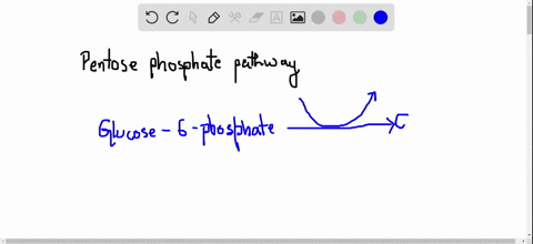 there-is-a-reaction-in-carbohydrate-metabolism-in-which-glucose-6-phosphate-reacts-with-nadp-to-give
