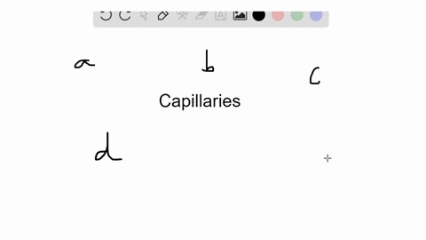 SOLVED:Water enters the venous end of capillaries because of a. osmotic ...