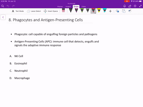 which-of-the-following-is-both-a-phagocyte-and-an-antigen-presenting-cell-a-nk-cell-b-eosinophil-c-n