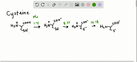 reflect-and-apply-suggest-a-reason-why-amino-acids-are-usually-more-soluble-at-mathrmph-extremes-tha