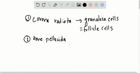 as-sperm-first-reach-the-oocyte-they-will-contact-the-____________-a-acrosome-b-corona-radiata-c-spe