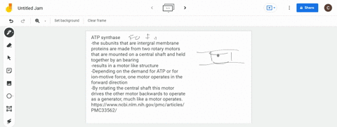 why-is-mitochondrial-atpase-considered-a-motor-protein-3